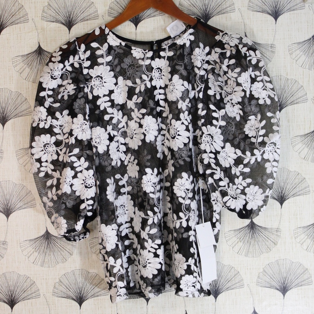 Wicked Majesty Sheer Embroidered Top